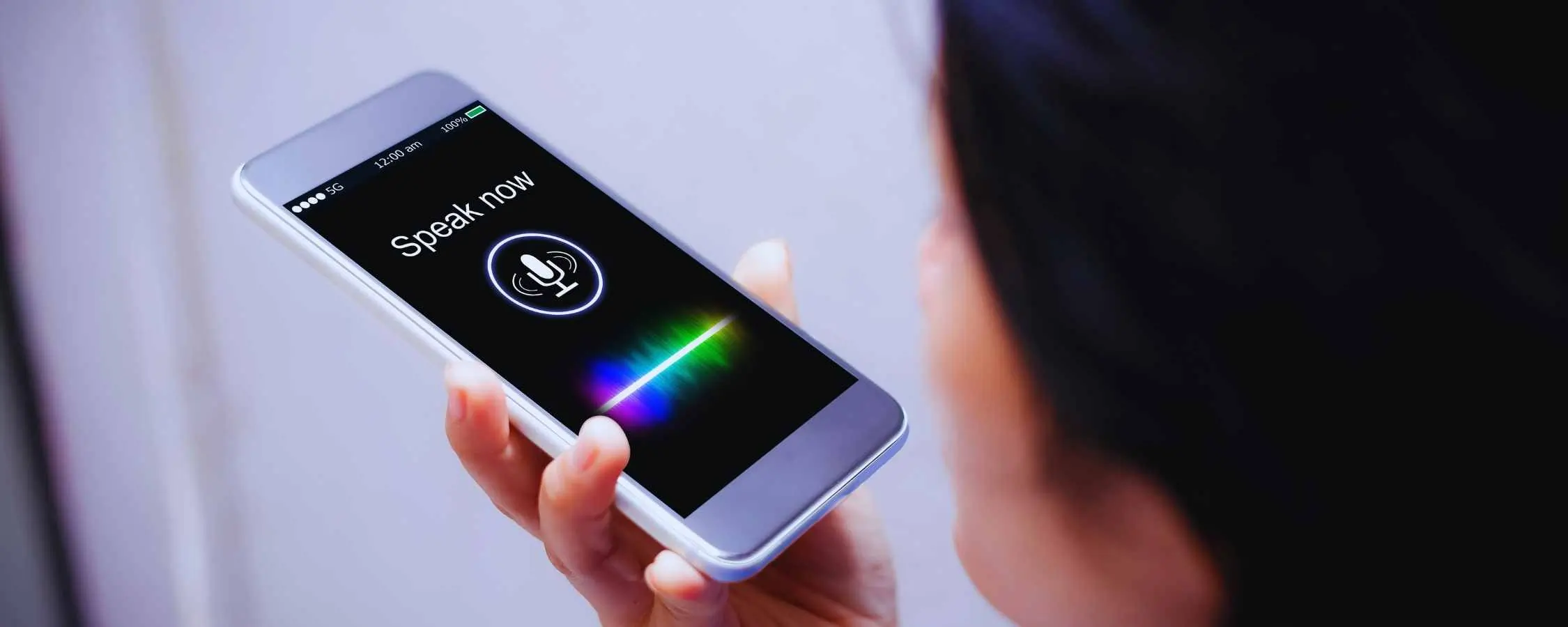 Voice Search in 2025